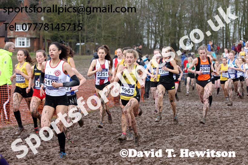 Womens under-17s 2018 British Inter Counties Cross Country Champs., Prestwold Hall, Loughborough. Photo: David T. Hewitson/Sports for All Pics